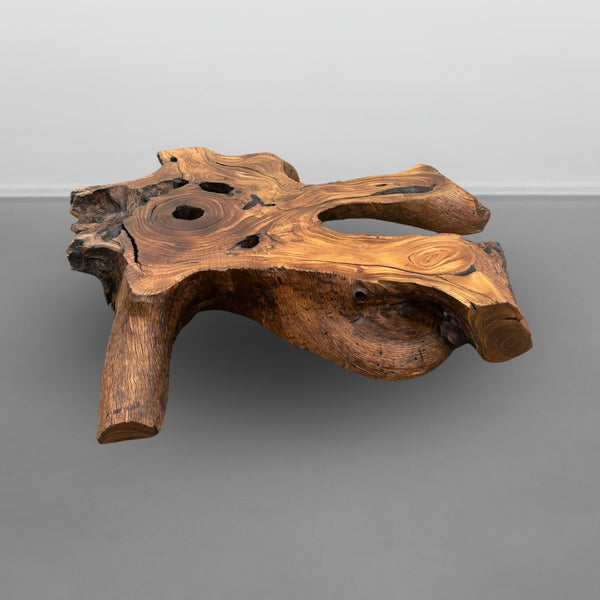 Mesa de Centro Orgânica Raiz