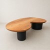 mesa de centro linha organic pé ebanizado