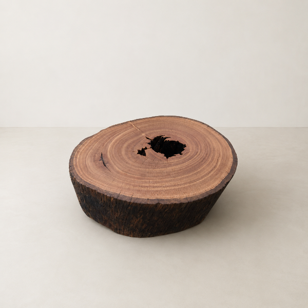 mesa de centro tora arboreal