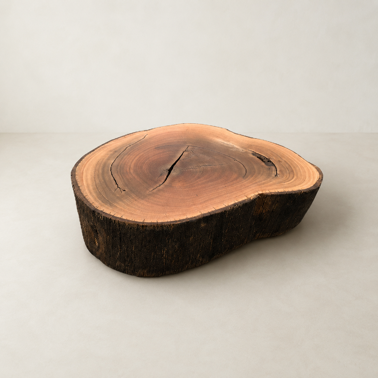 mesa de centro tora madeira maciça rustica arboreal