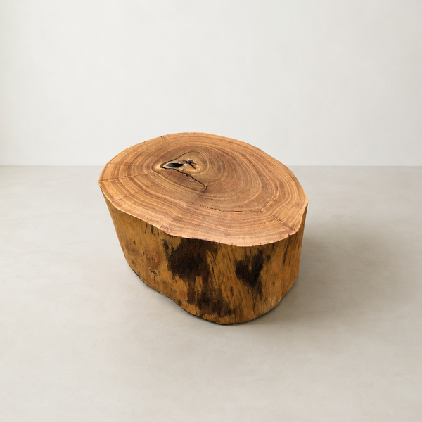 mesa de centro tora madeira maciça rustica arboreal