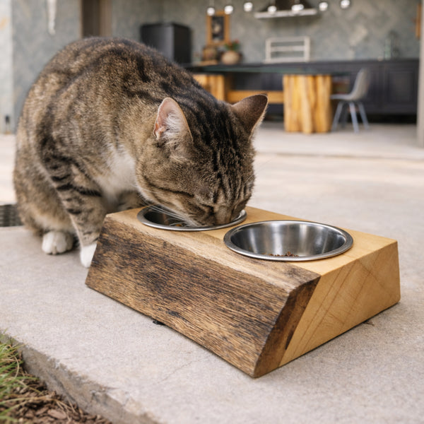 Gato se alimentando em comedouro ArboREAL de madeira maciça, com design ergonômico, bloco sólido e cubas em aço inox