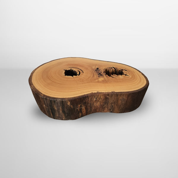 mesa de centro organica tora madeira maciça arboreal pronta entrega