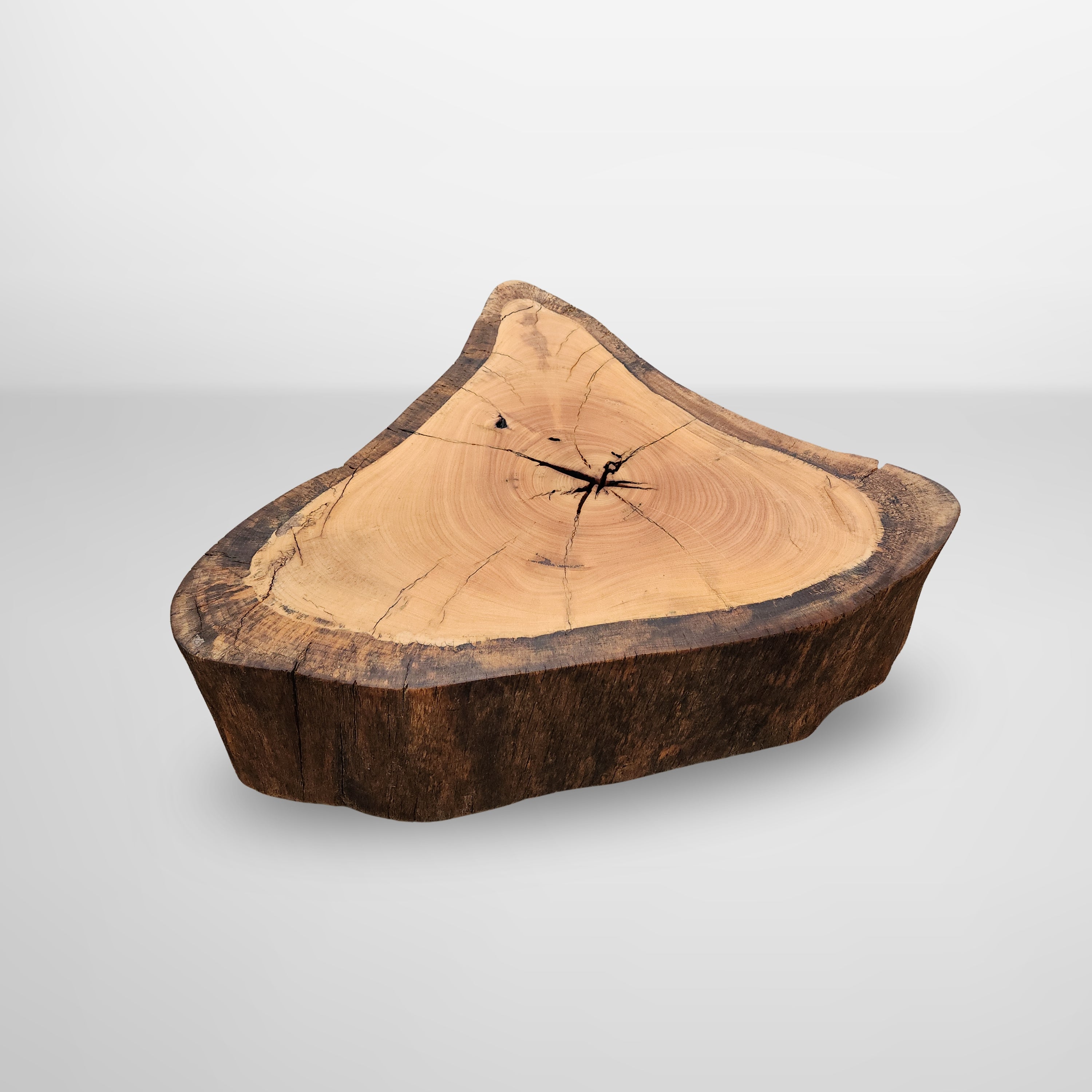 Mesa de centro organica tronco madeira maciça pronta entrega arboreal